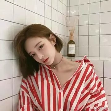 莫奇的故事
