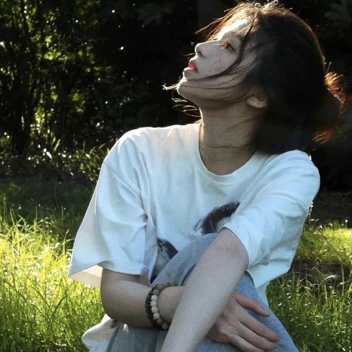 盗贼生涯
